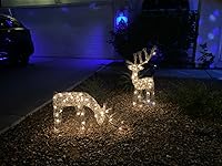 Review Image by Dawn Dawn