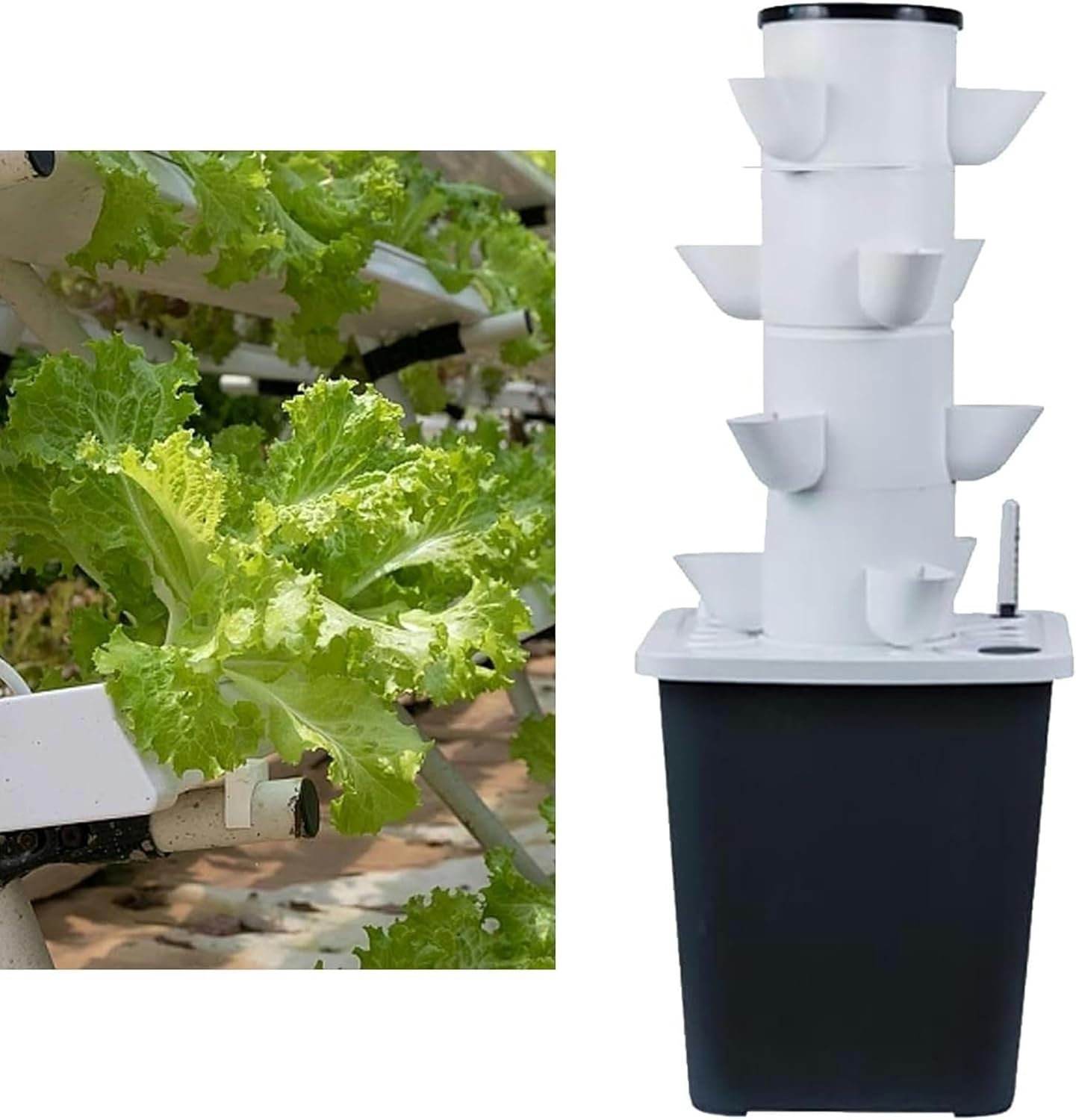 Hydroponic Tower, Hydroponic Cultivation Kit of Garden for Herb, Fruits and Vegetables for Herb, Fruits and Vegetables
