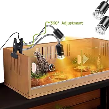 Amazon.co.jp: フトアゴヒゲトカゲランプ - 爬虫類水族館加熱