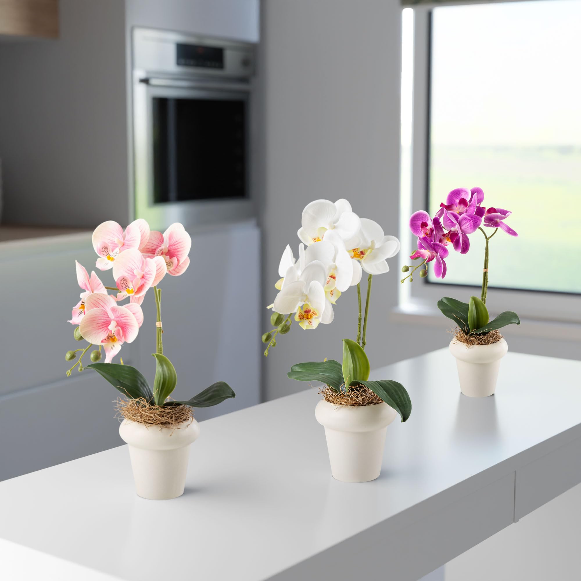 PASCH Orchidées artificielles dans des pots en céramique brillante (36 cm) | Fleurs artificielles en pot | Fleurs artificielles comme de vraies orchidées artificielles en pot (lot de 3)