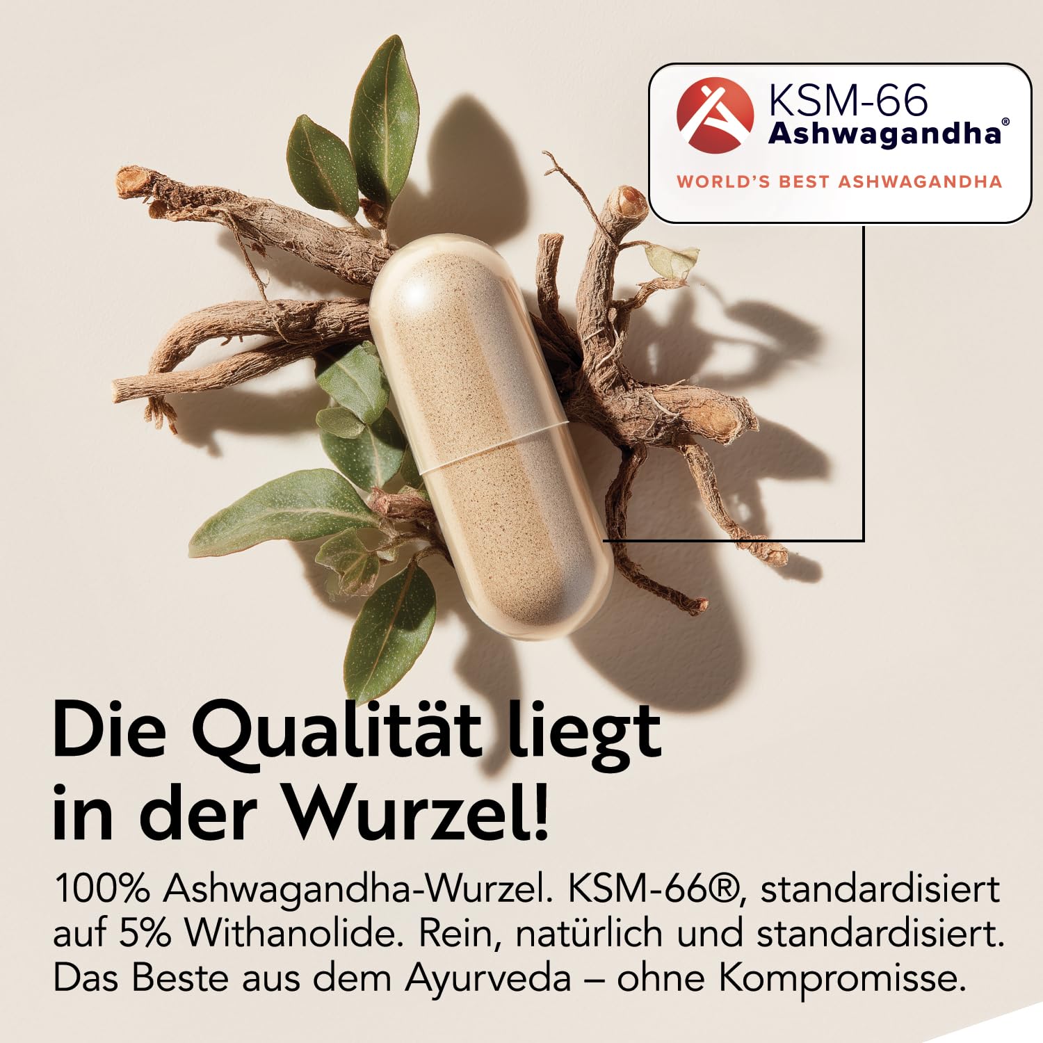 Ashwagandha KSM-66 600 mg PiùLife – Extrakt aus Wurzel 5% Witanolide | Für Stress & mentales Wohlbefinden, 180 KSM66 Ashwagandha Kapseln hochdosiert, laktose- & glutenfrei
