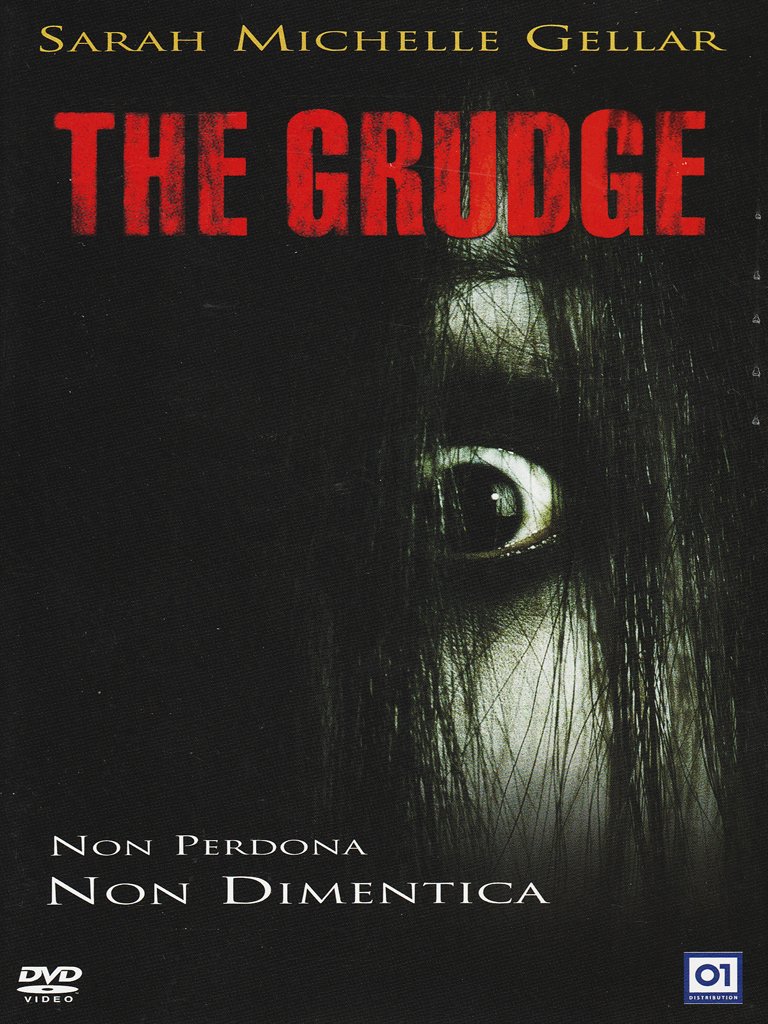 The Grudge DVD de terror para noches de cine en casa con amigos