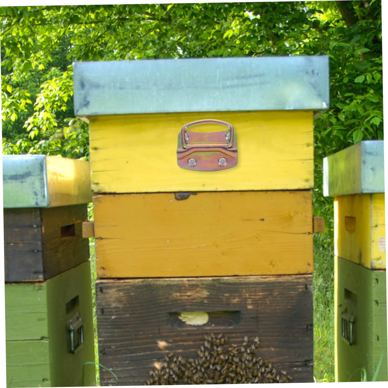 Poignée pour Ruche 4 Pièces en Fer Galvanisé, Apiculture