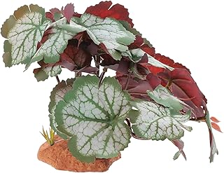 Mipcase Caixa De Escalada Para Animais De Estimação Paisagismo Decoração De Tanque De Peixes Acessórios De Aquário De Peixes Lagarto Terrário Trepadeiras De Escalada Artificial Plantas De