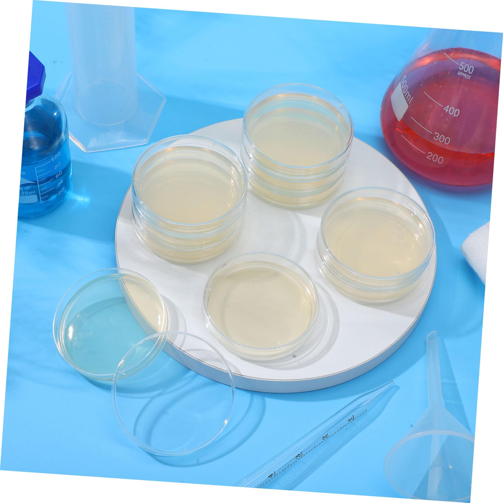 Placas de Agar Nutritivo 7cm, 10 Piezas, Cultivo Listo para Laboratorio | Suministros para Experimentos de Microbiología, Placa de Petri de Agar, Decoracion Colegio