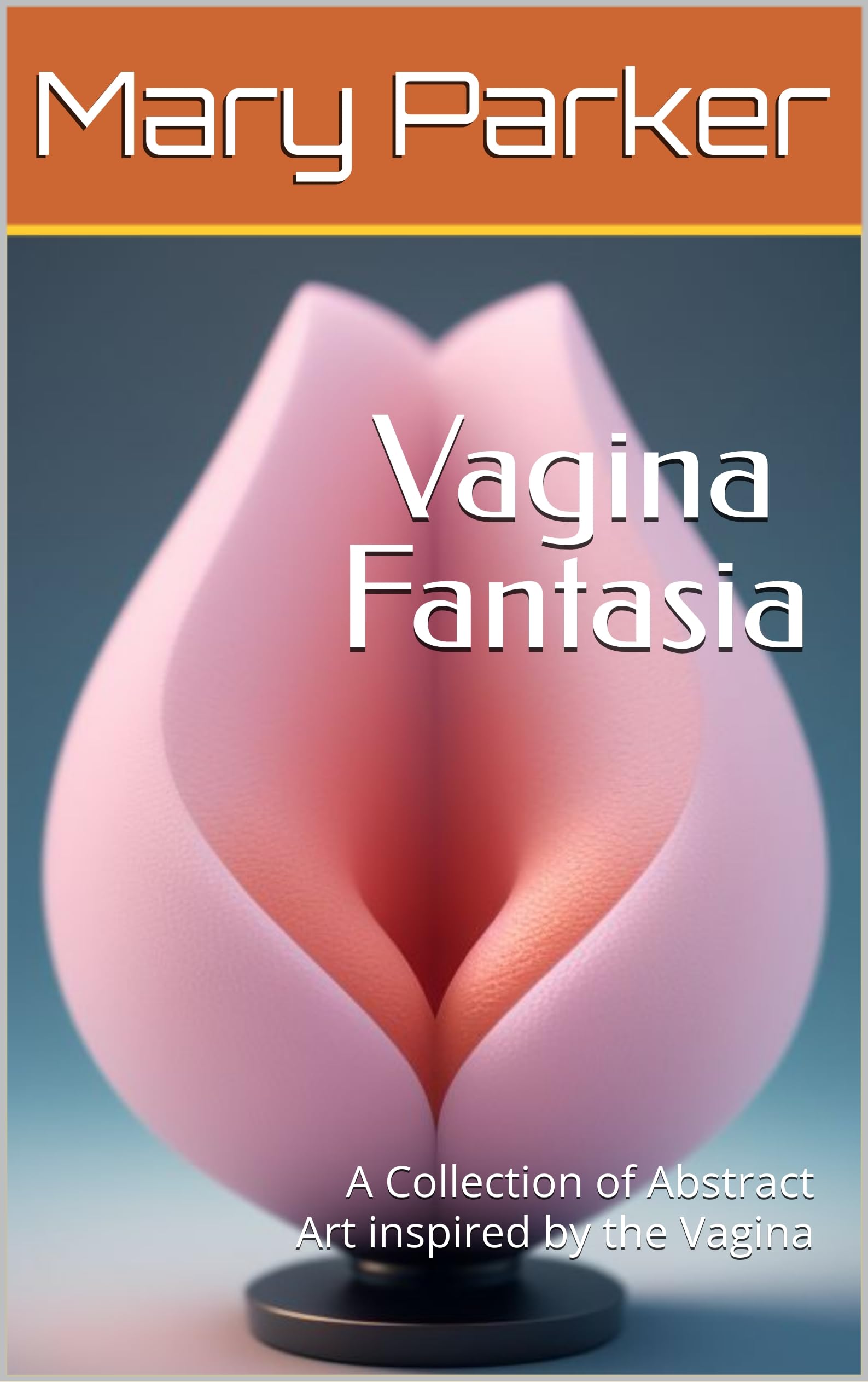Idée cadeau originale livre d'art abstrait Vagina Fantasia