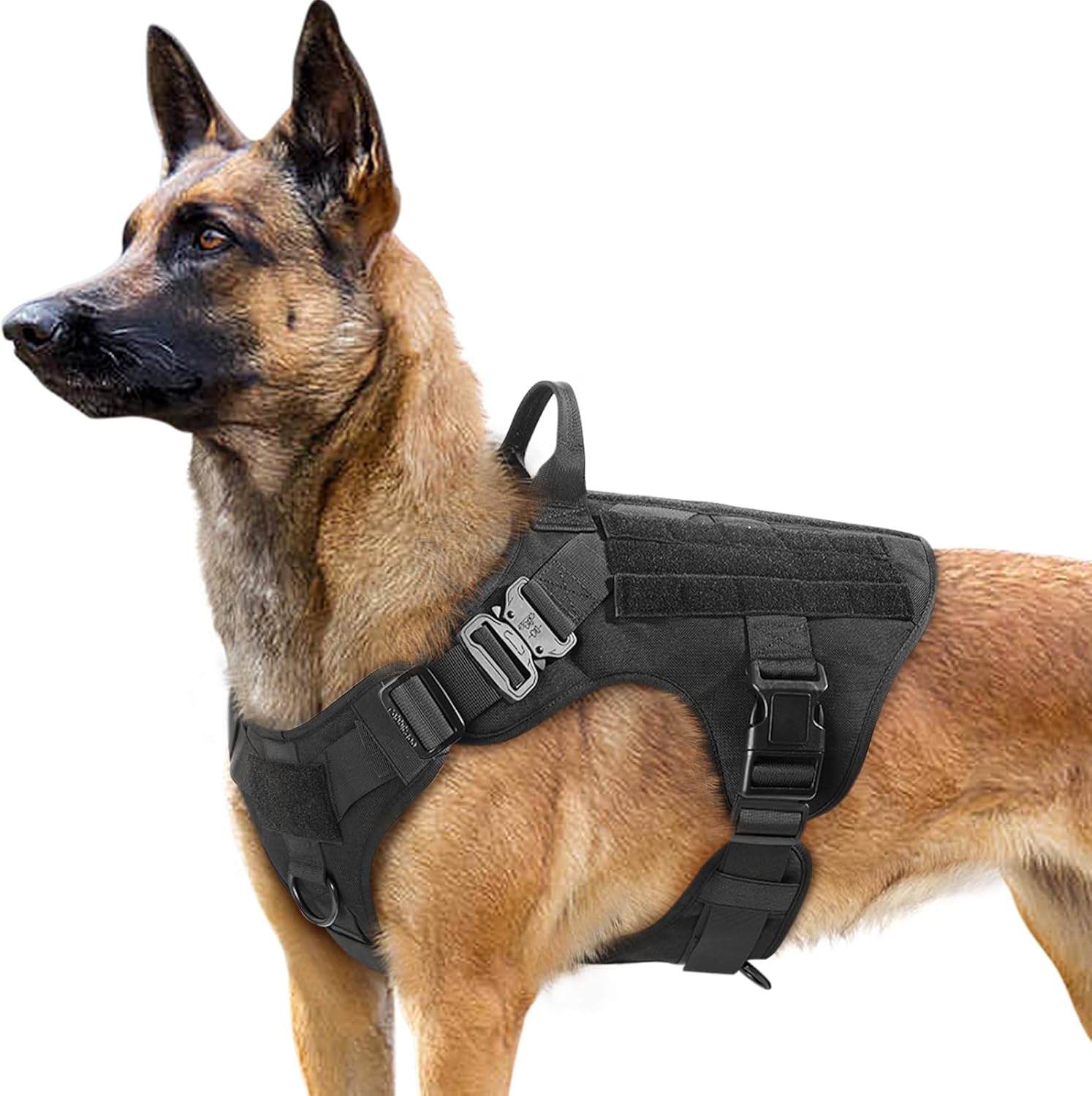 rabbitgoo Dog Harness Large Dog, Anti pull Vest Harness with Tactical MOLLE Panel, Metal Buckles, Front Back Clips, Control Handle, Adjustable Military for Training Walking Service Pet, L, Black