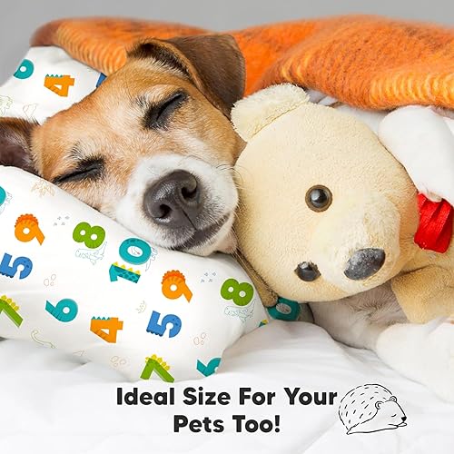 Miniatura 8 de KeaBabies - Almohada con funda para niños pequeños, almohada My Little Dreamy de 13 x 18 pulgadas (Dino123)