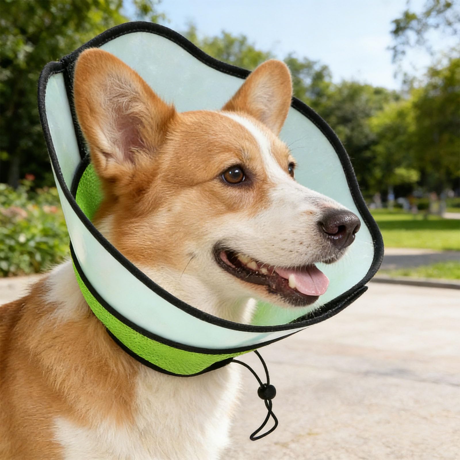Collare per cani per il recupero, morbido collare per cani dopo l'intervento chirurgico, chiusura regolabile, collare contro leccare e mordere, rete di poliestere, parte superiore trasparente, verde