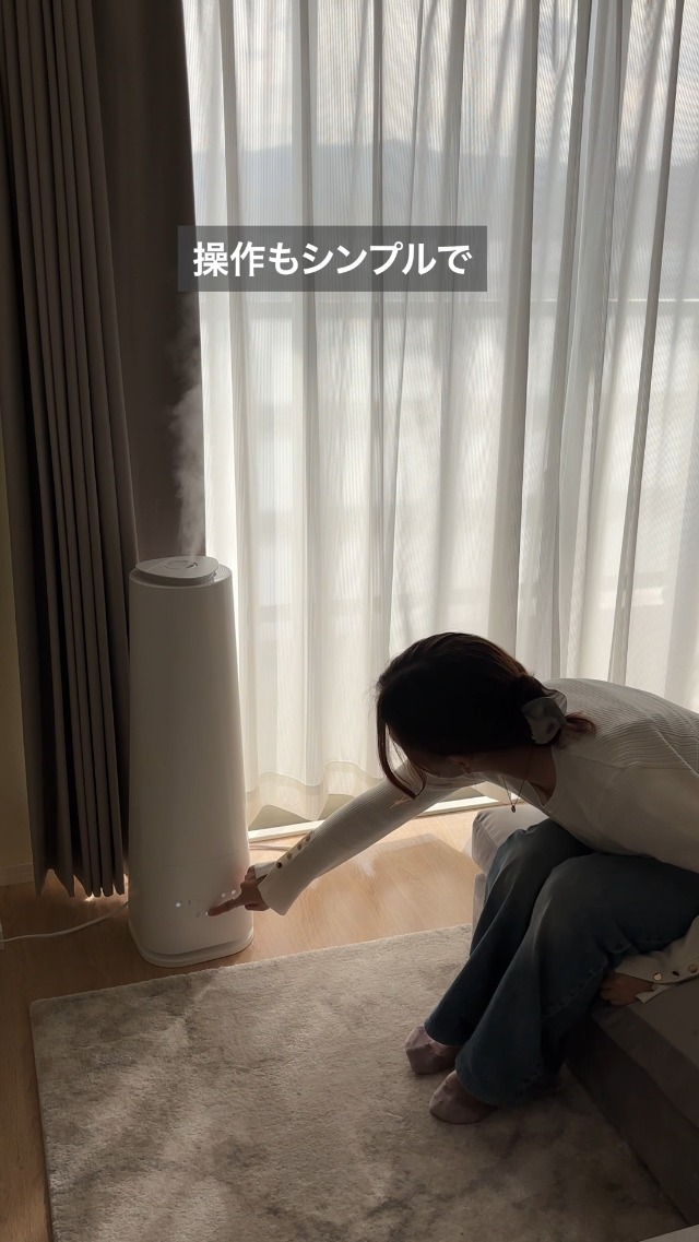 Amazon.co.jp: LOWYA ロウヤ 加湿器 ハイブリッド式 加熱超音波式