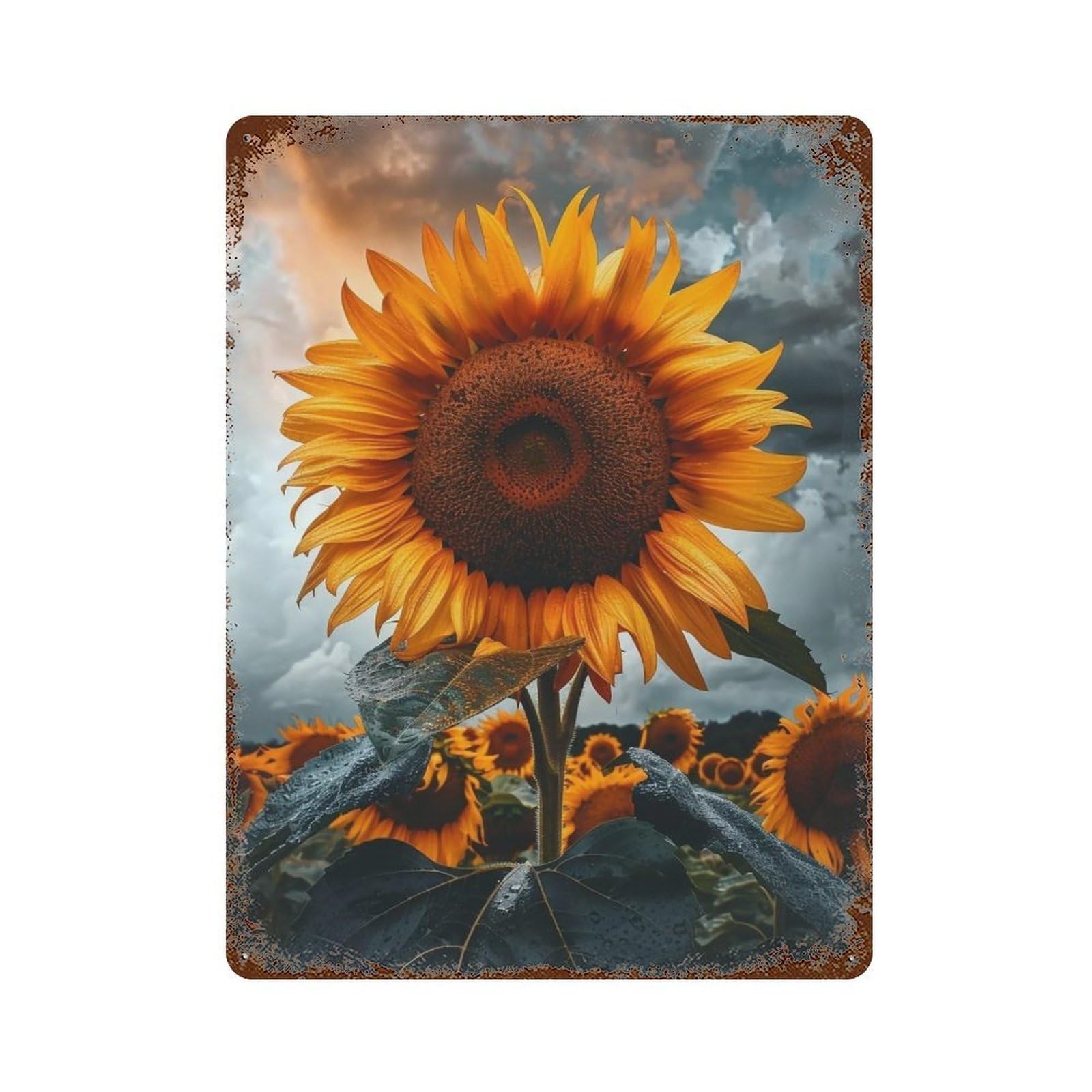 WIHYRTUI Dramatic Stormy Meadow Vibrant Yellow Bloom Scene 04 Wall Retro Iron Metal Tin Sign Vintage Art Poster Modern Home Cofffee Club Art Bar Shop Decor Style 40x30cm