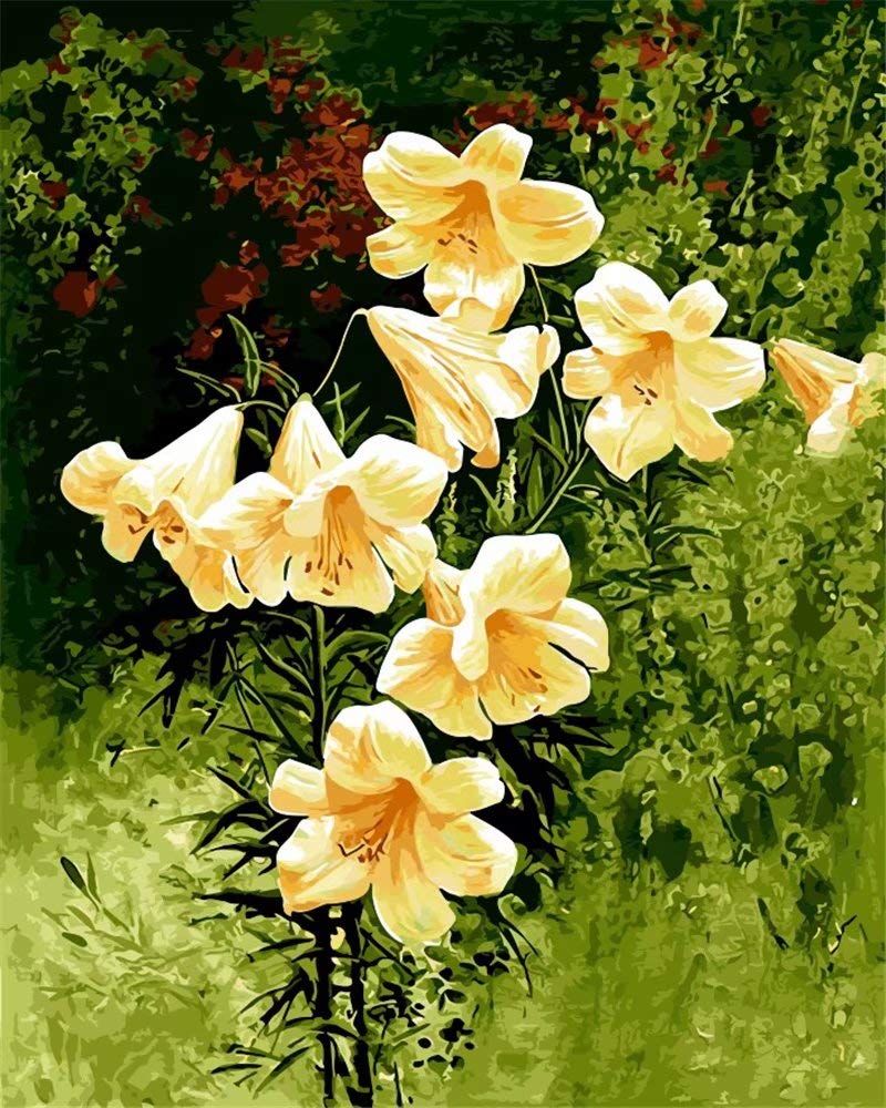 Free Hus Embroidery Designs Free Embroidery Patterns