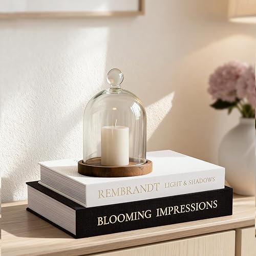Fveuc Set of 2 Linen Decorative Books with Hidden Storage