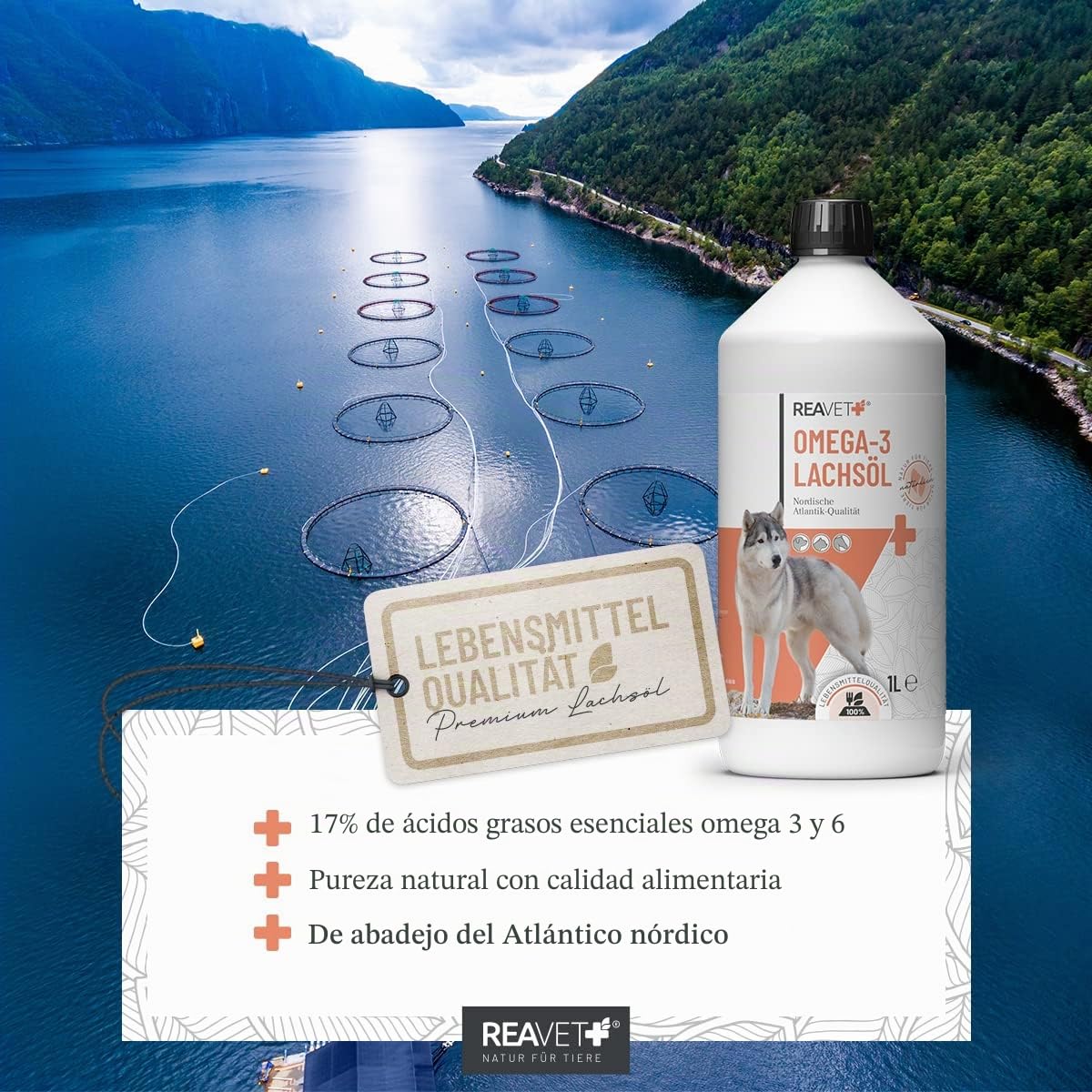 Aceite de salmón ReaVET muy bueno 2025 para perros, 1 litro, rico en Omega 3 y 6, aceite de pescado para perros, alta dosificación, calidad alimentaria real sin aditivos, recién embotellado en