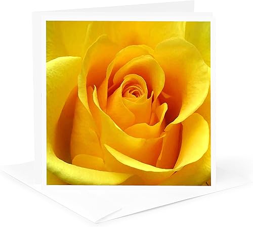 Miniatura 5 de 3dRose Yellow Rose - Tarjetas de felicitación, 6 x 6 pulgadas, juego de 12 (gc_3648_2)
