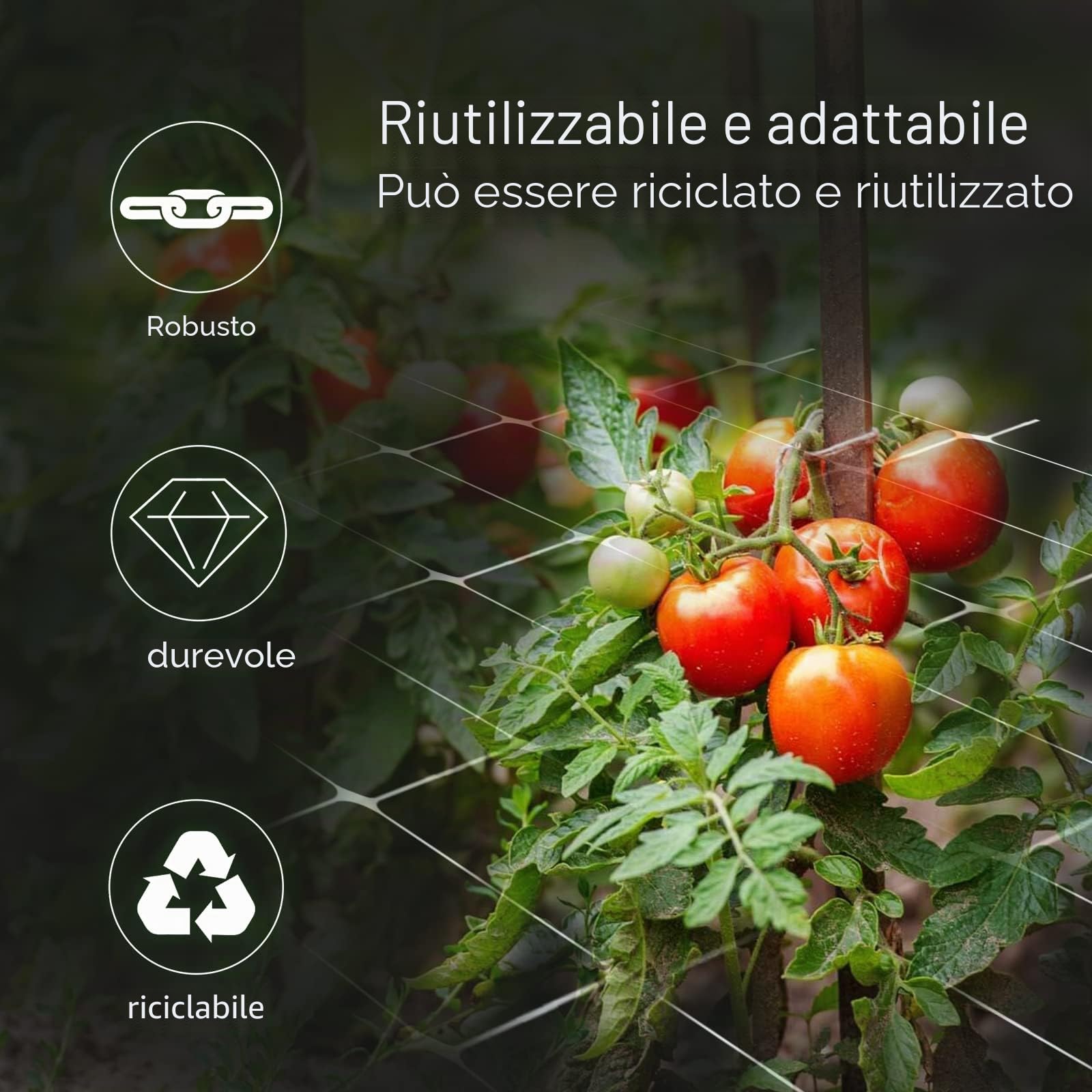 2m x 100m Rete da traliccio resistente bianca - Maglia quadrata da 15 cm - Rete di supporto per piante in polipropilene PP per piante rampicanti, verdure e fiori
