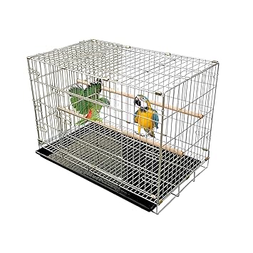 Jainsons Pet Products Zinc Plating On Iron Bird Cage for Big Parrots Conure Canary Macaw Finch Cockatiel Parakeet Cockatiels Parrot Bird Cage with 2 Perches & 1 Tray Included (L*B*H: 30 x 18 x 21inch)