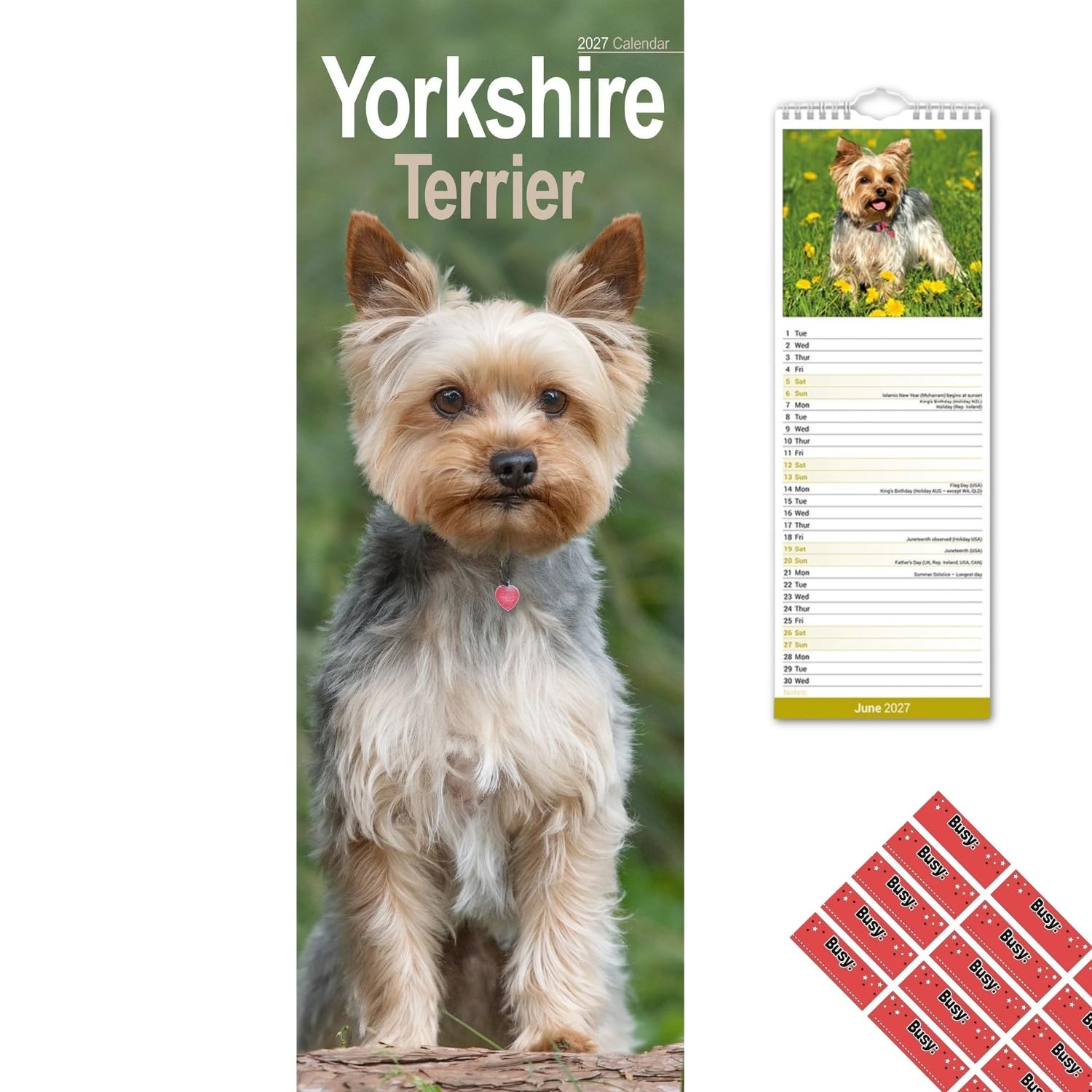 Avonside Yorkshire Terrier 2027 Slimline Calendar with Planner Stickers