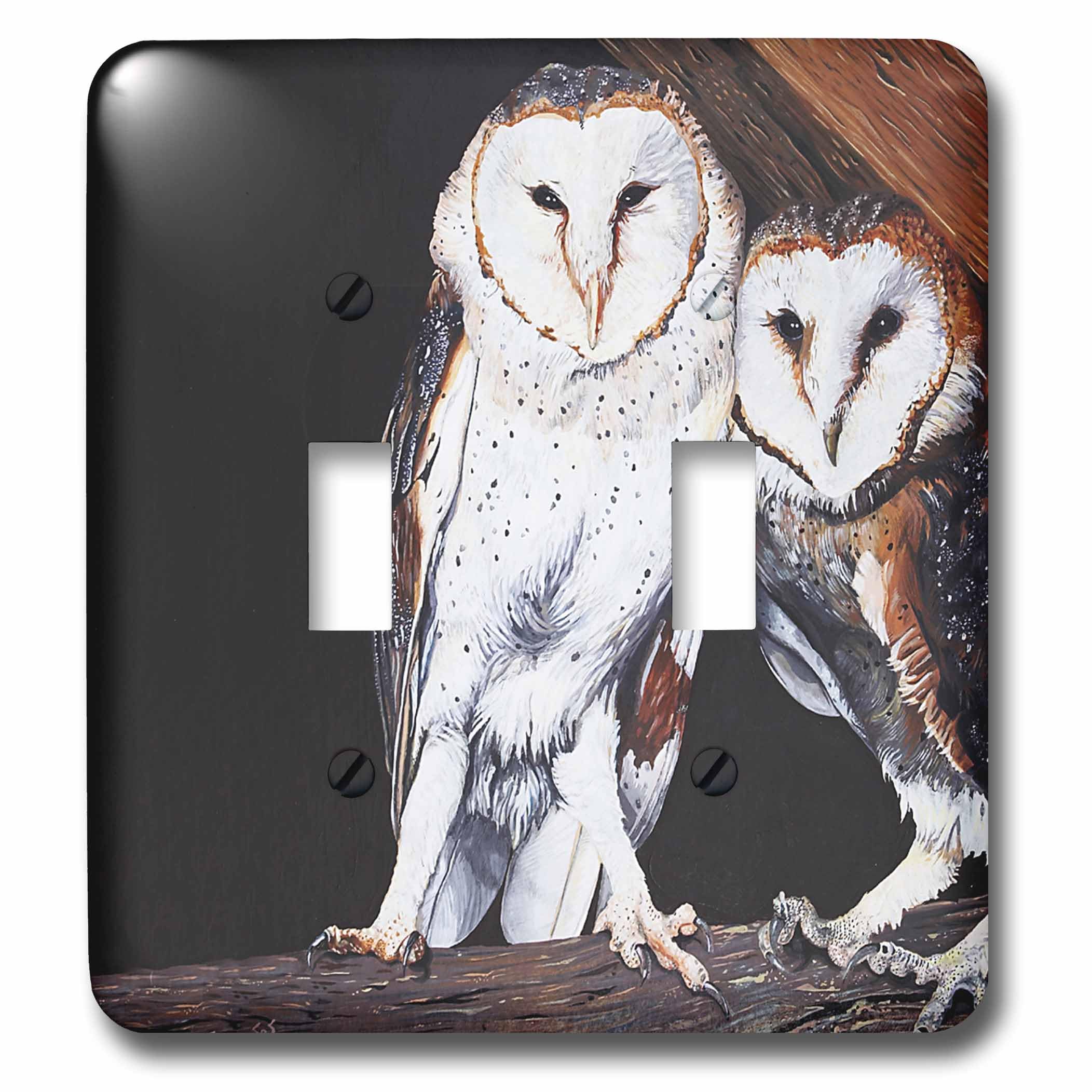 Interrupteur double à bascule chouettes 3dRose Lsp_3210_2 plaque murale design