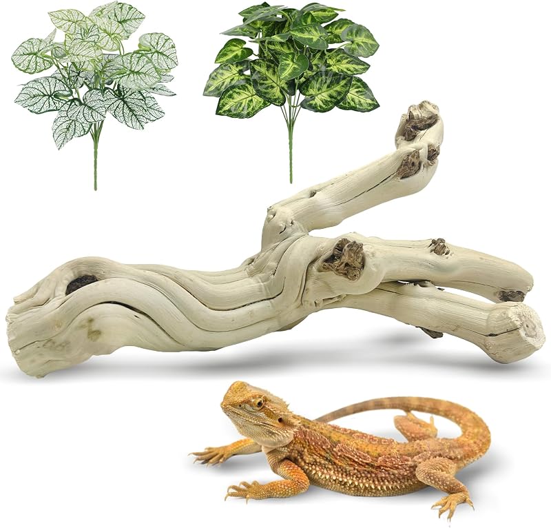 Galho de Madeira Natural para Escalada em Terrário Apatal KA064-S – 25,4 x 3,81 x 3,81 cm