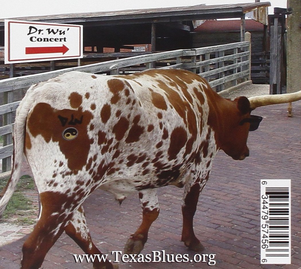 Texas Blues Project