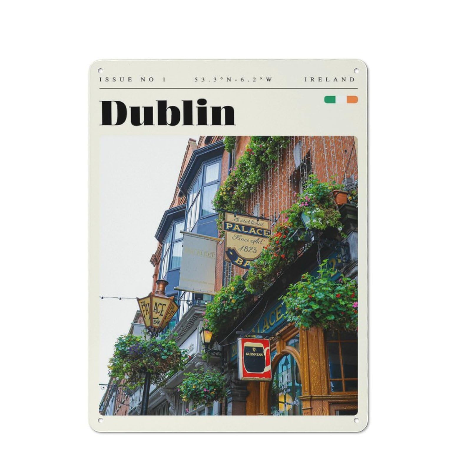 Junmoney Style-2 Rustic Dublin Ireland Travel Art Rustic Tin Sign 40X30cm, Porch Wall Decor For Greenhouse, Garden Room, Cafe Or Entryway