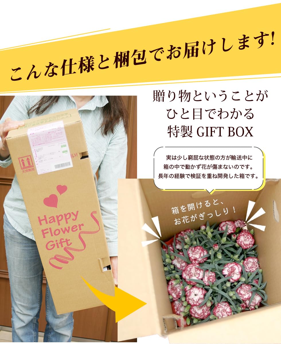 Amazon.co.jp: 母の日 2026 ギフト プレゼント 花 豪華クレマチス 6号