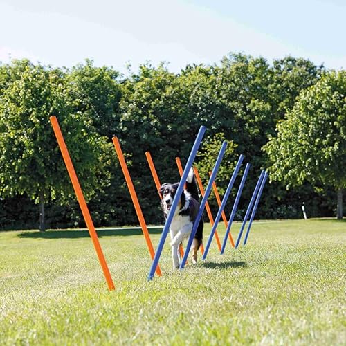 Miniatura 4 de TRIXIE Dog Agility Hurdle Cone Set