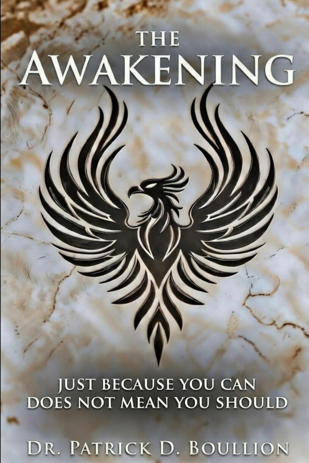 The Awakening: Just Because You Can Does Not Mean You Should (Journey to Awakening)