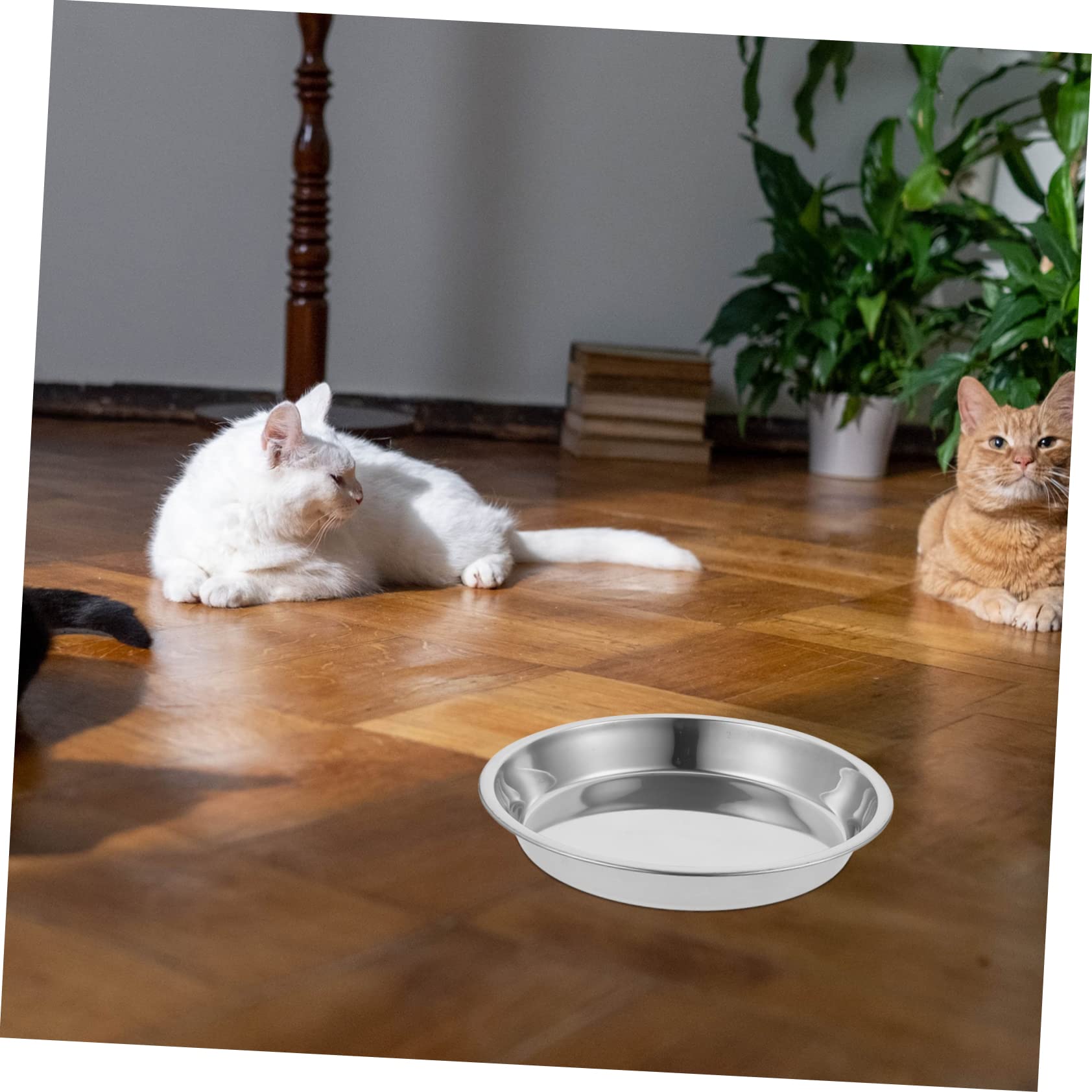 Edelstahl Katzennapf Groß, Flache Futterschale 4 Stück für Katzen