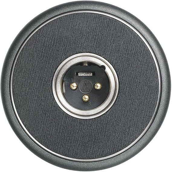 Audio-Technica Condenser Microphone (AT5040)