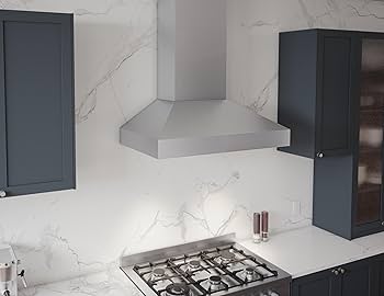 レッサーパンダ Amazon.com: Zephyr ZPO-E30A Podesta 30 Inch Wide Wall