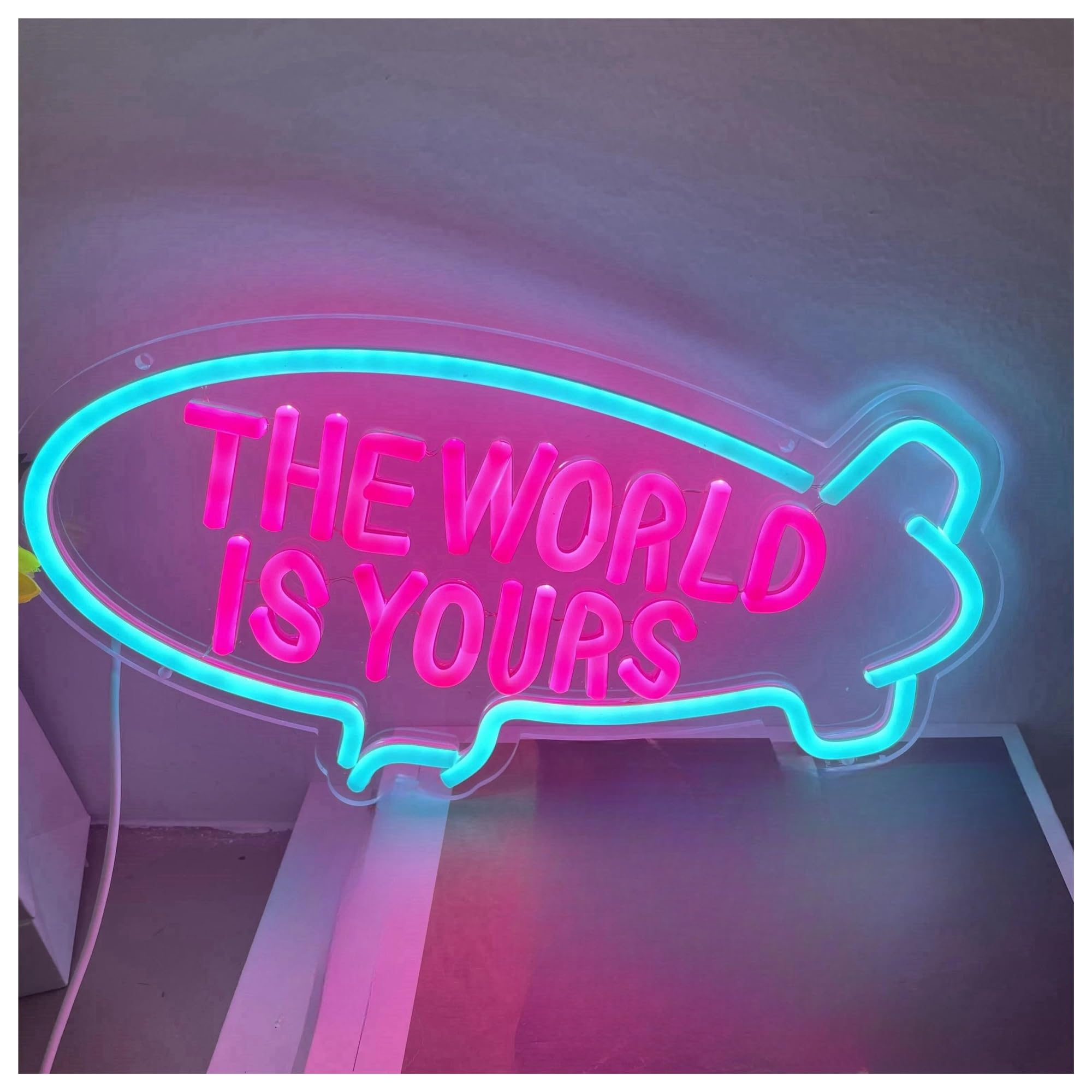 Lemst D Signs Lamp The Worl Is Yours Neon Sign Light Immable For Home Room Bedroom Kids Room Birthday Ecor Usb Powere Lamp 45Cmx28cm(D)