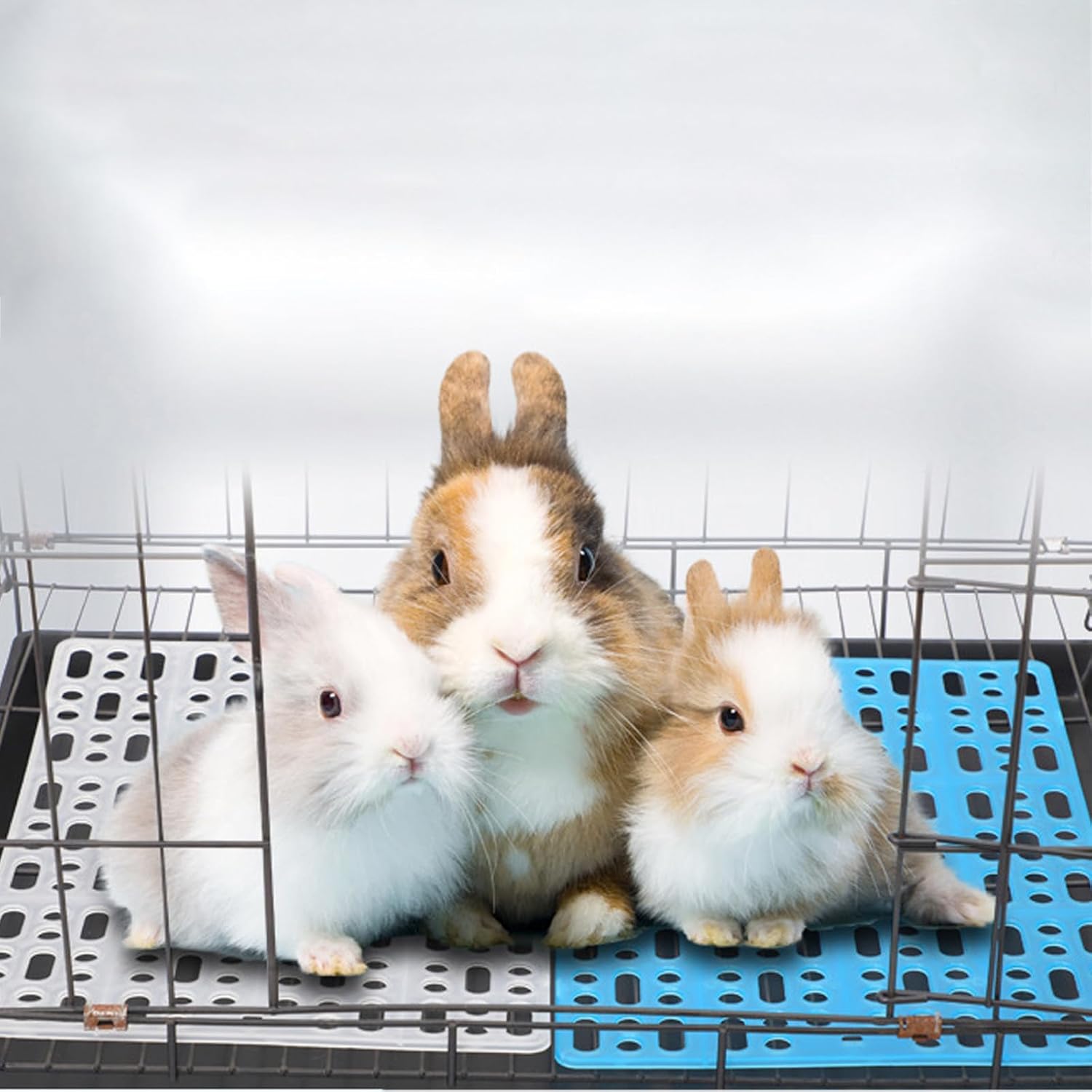 12pack Small Animal Foot Pad Promoting Health Through Easyly Maintenance and Comfortable Usage for Multiple Species Lovely Pet Accessory