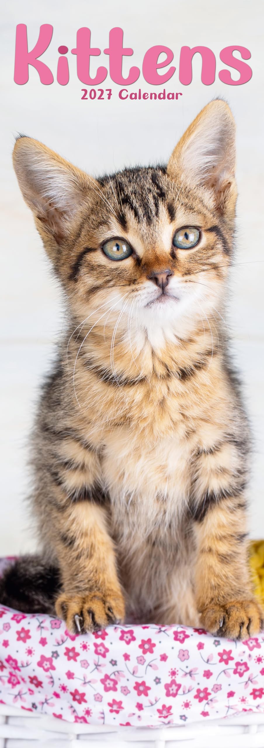 Kittens Slim 2027 Calendar | Slimline Wall Calendar | Cat Gift | Plastic Free Packaging | by Avonside Publishing
