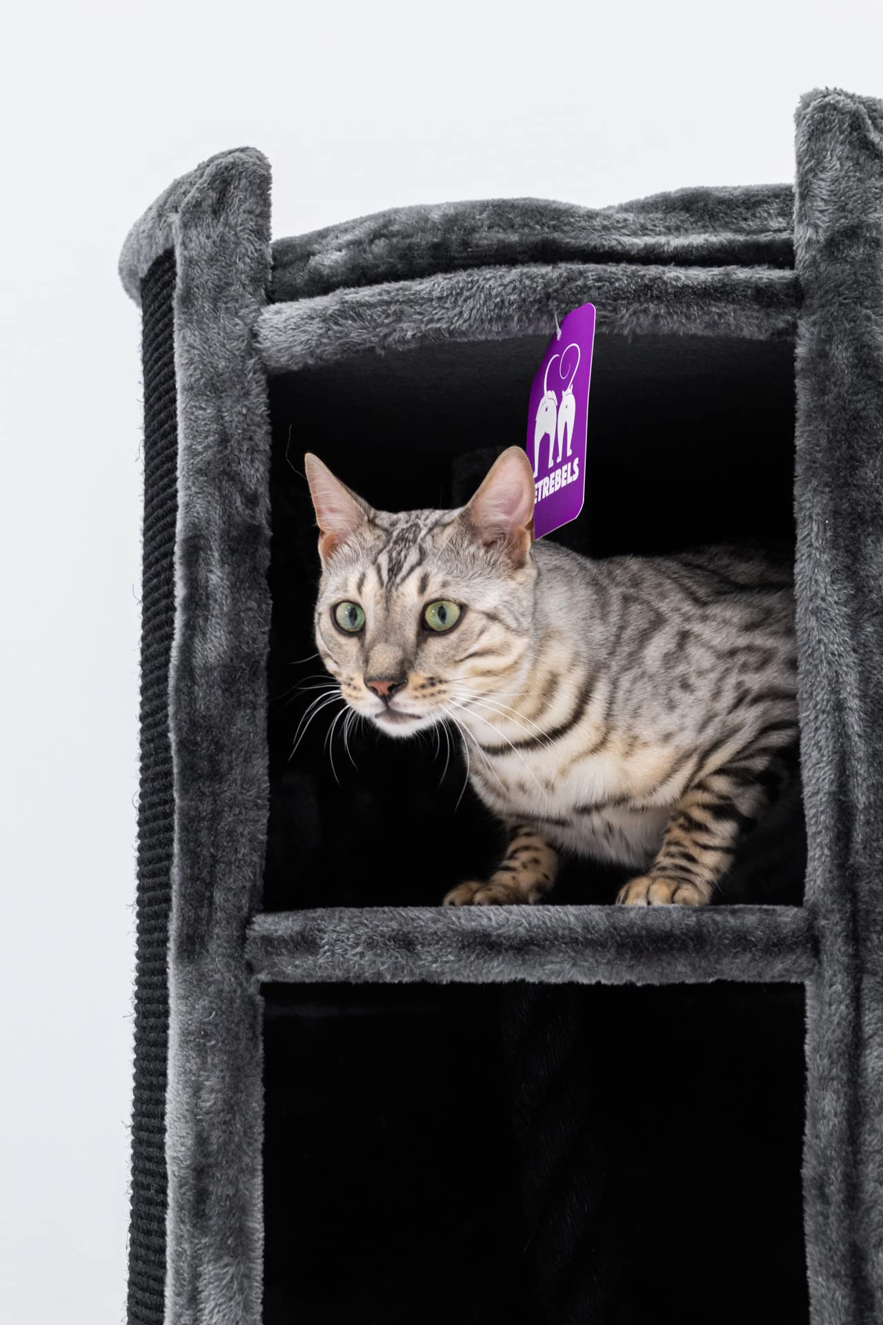 Petrebels Tiragraffi XL di alta qualità, Superdome, altezza 100 cm, diametro 50 cm, design per gatti grandi, extra largo per la massima stabilità, colore nero