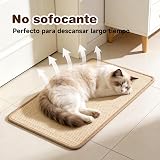 Ver la foto 6