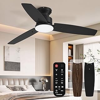 Modern Ceiling Fan with Lights and Remote