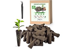 Root Easy Replacement Growth Sponges Seed Pods Compatible with AeroGarden for Hydroponic Indoor Garden System