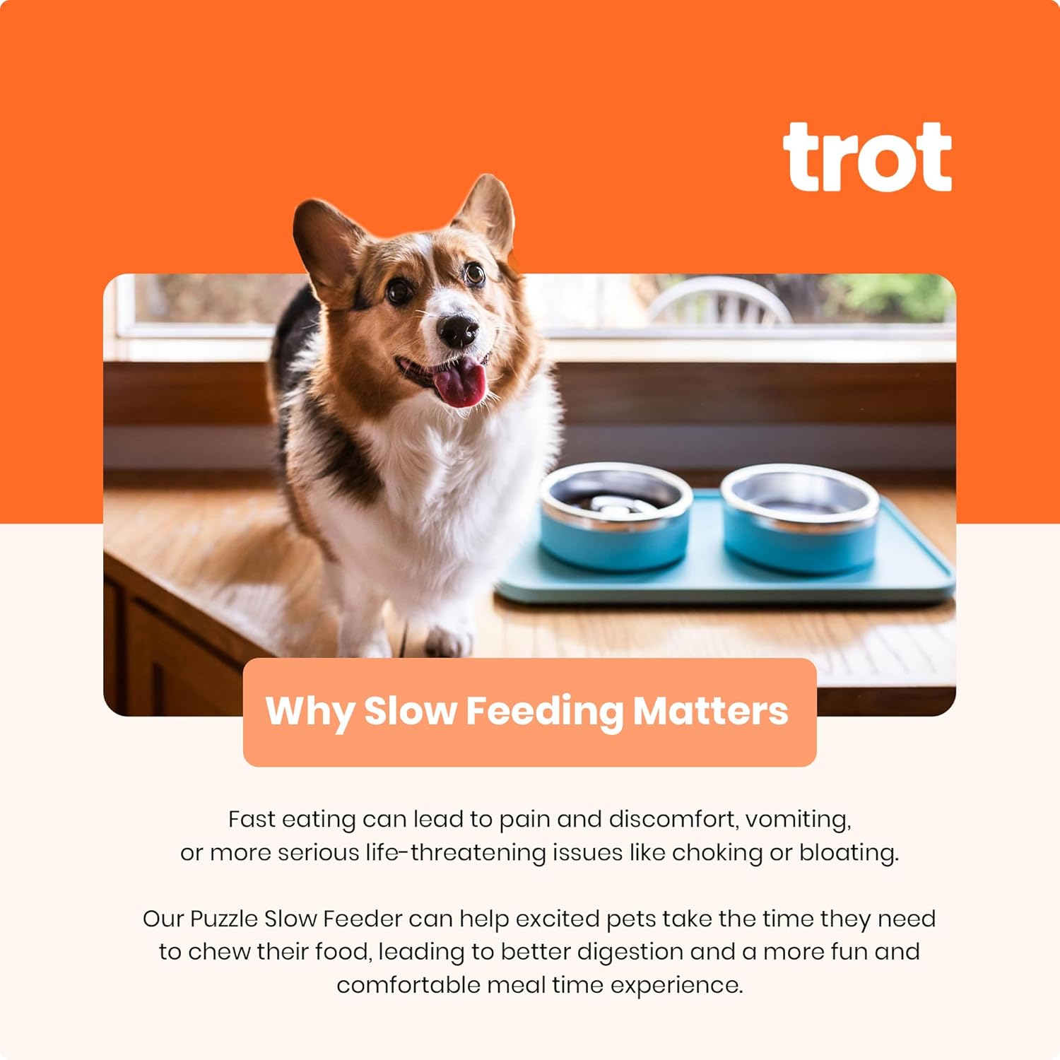 Trot Pets Elevated Dog Bowls | Stainless Steel Raised Bowl Set for Small, Medium, or Large Dogs | Non-Slip Food and Water Slow Feeder | Durable, BPA-Free, Anti-Skid, Dishwasher Safe (Sky, Small) - Image 4