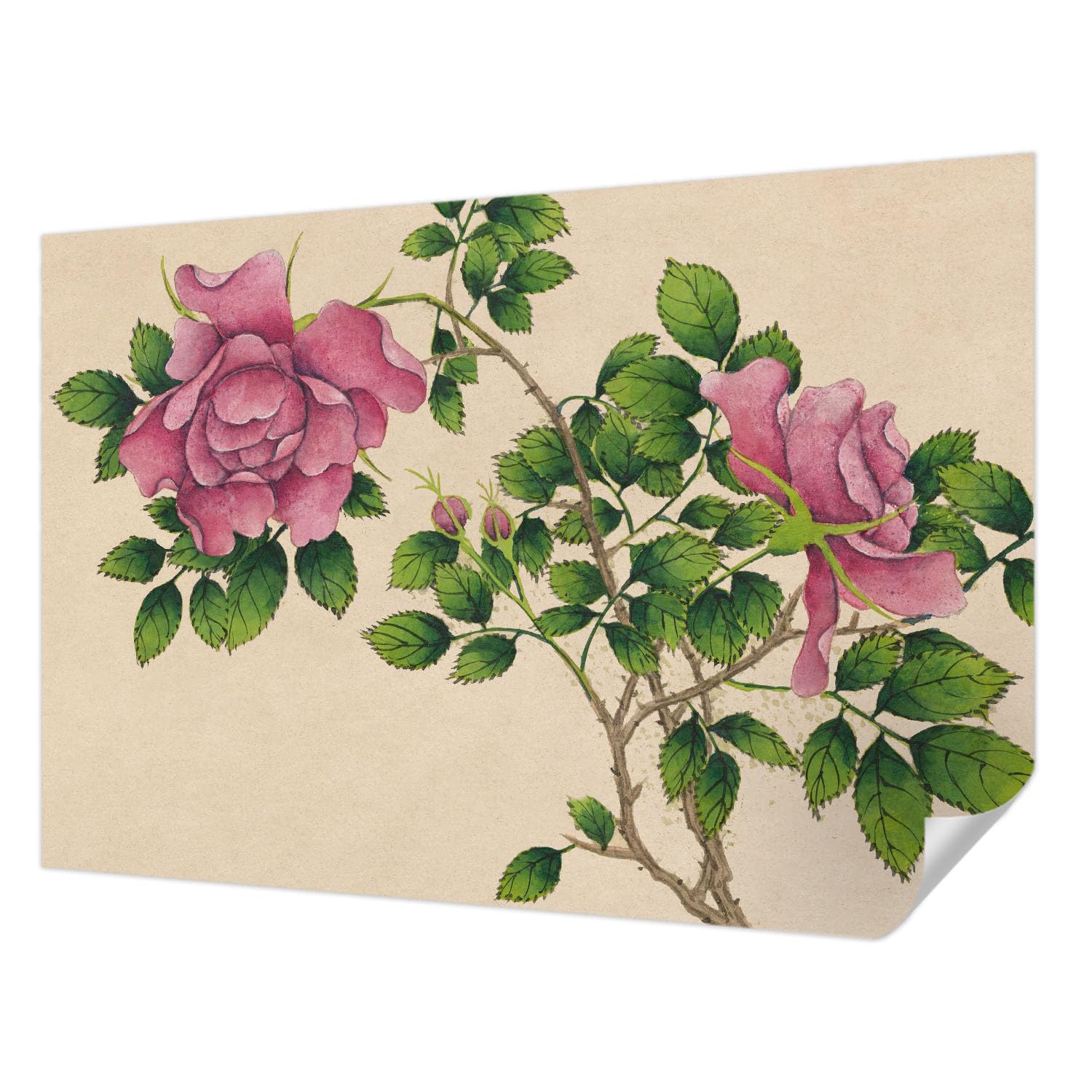 Papier peint adhésif pour chambre à coucher Tulup décoration murale roses romantiques