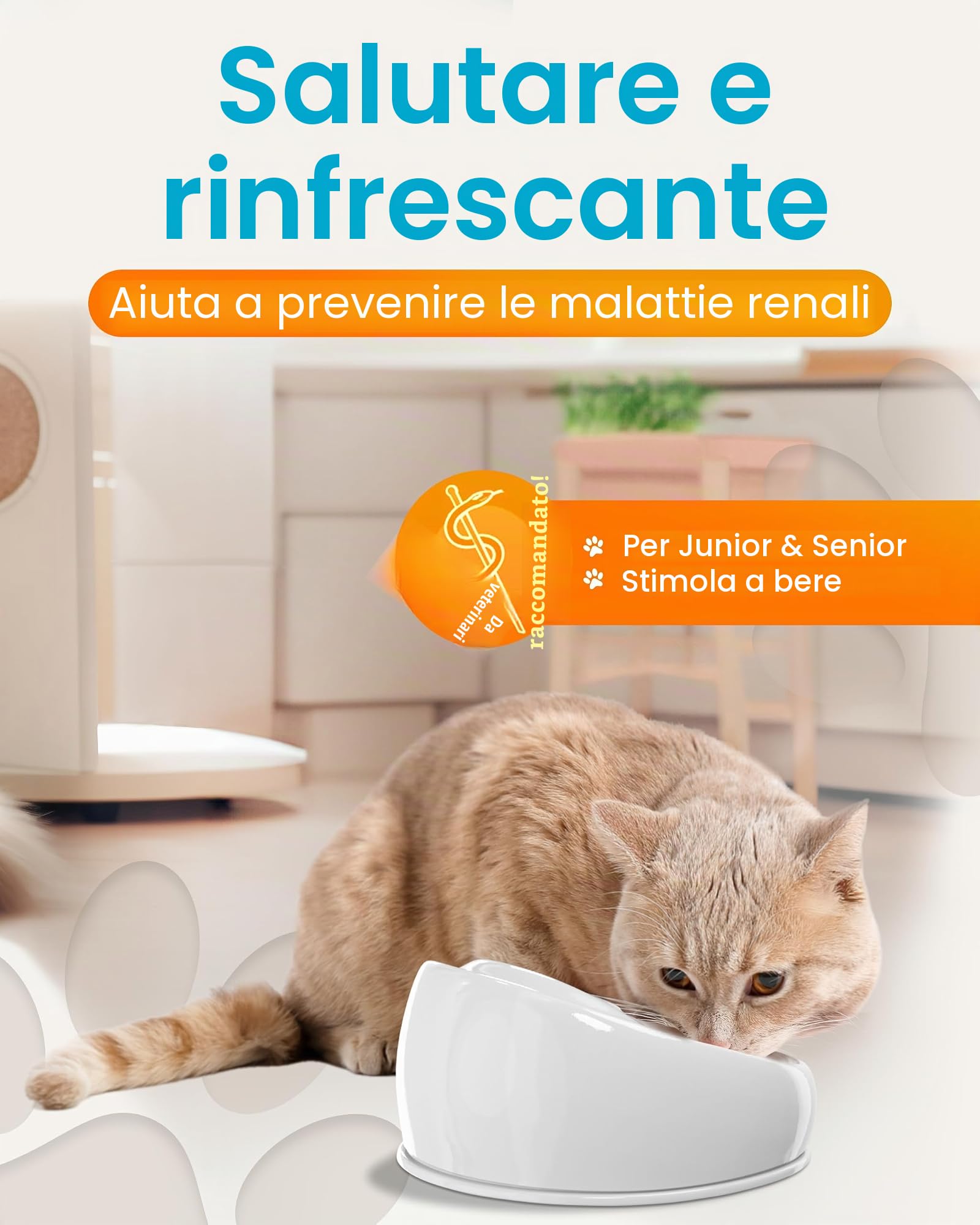 Lucky-Kitty- fontana in ceramica per gatti