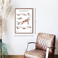Vista 6 de Anatomy Lab Juego de Pósteres de Anatomía de Estiramiento y Pilates - PAQUETE DE 2 LAMINADOS, 17.3 x 22.5 pulgadas, tabla corporal, tabla de pared