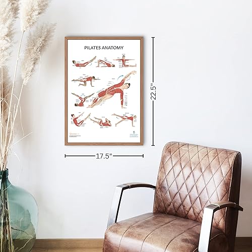 Miniatura 6 de Anatomy Lab Juego de Pósteres de Anatomía de Estiramiento y Pilates - PAQUETE DE 2 LAMINADOS, 17.3 x 22.5 pulgadas, tabla corporal, tabla de pared