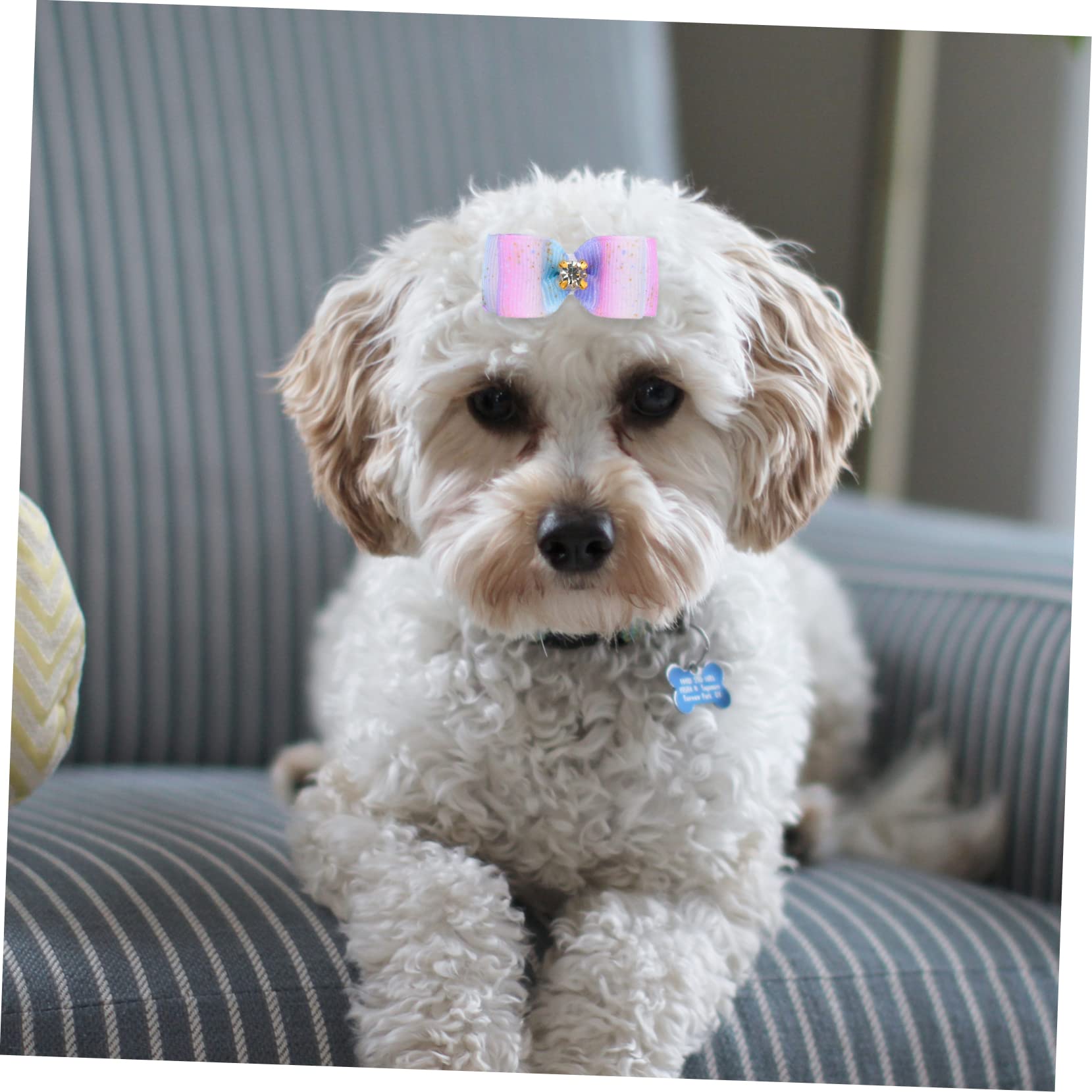 Toddmomy 100 Piezas Flor de Cabeza de Mascota Banda de Pelo de Anillo de Pelo con Lazo para Mascotas Perros Accesorios decoración para Mascotas Lazo de Goma para Arcos de