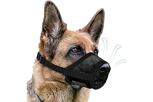 Dog Muzzle: Mouth Off in Comfort