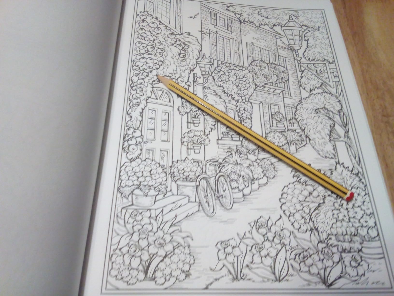 Creative Haven Small-Town Charm Coloring Book : GOODRIDGE, TERESA ...