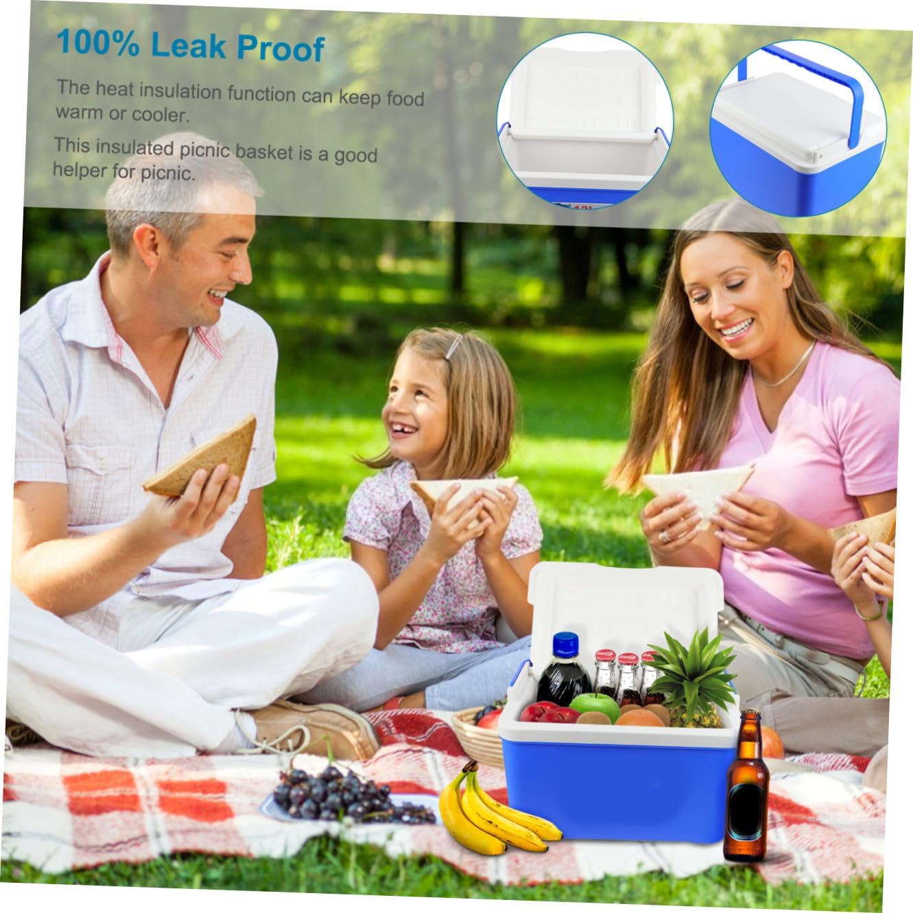 VICASKY Insulated Portable Cooler Box for Picnic Large Cooler Basket Leak Lunch Bag Insulated Picnic Basket