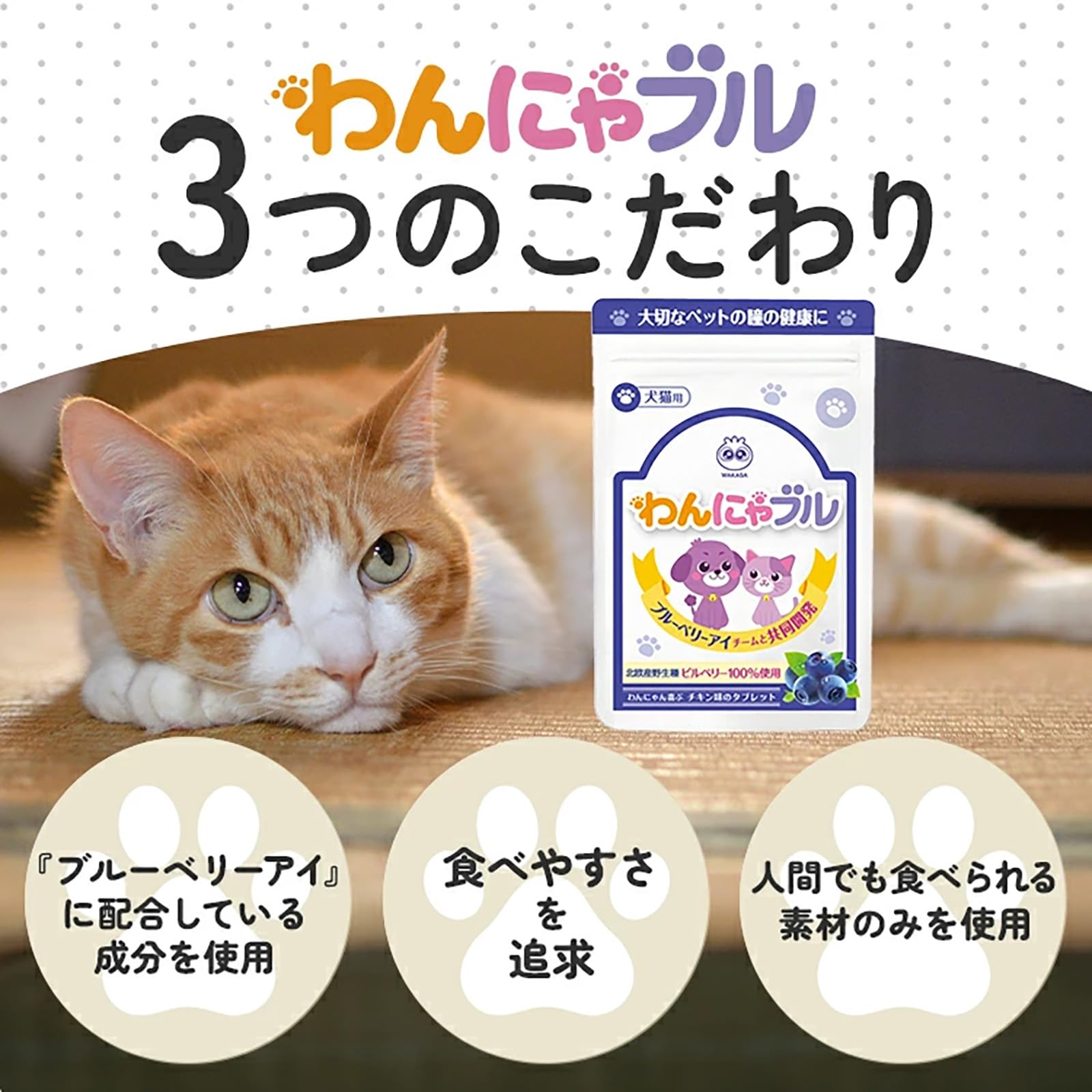 【ねこちゃん】ブルーベリーアイ　6袋 Amazon | 【公式】 わかさ生活 わんにゃブル 犬 目 サプリ 猫 ペット