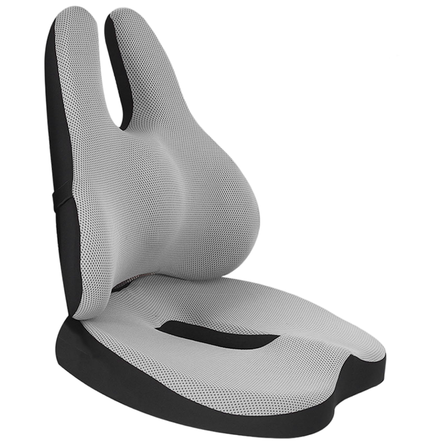 Amazon.com: DAGLLGEW Lumbar Support Cushion 2-in-1 Memory Foam
